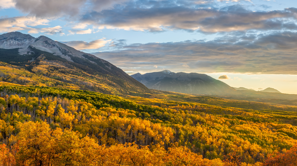 Chauffeured Fall-Color Day Trips