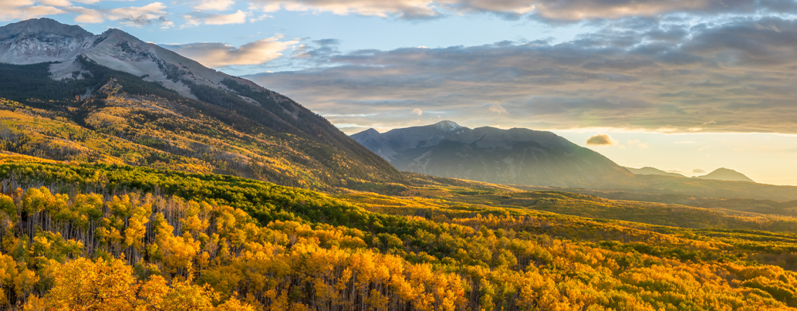 Chauffeured Fall-Color Day Trips