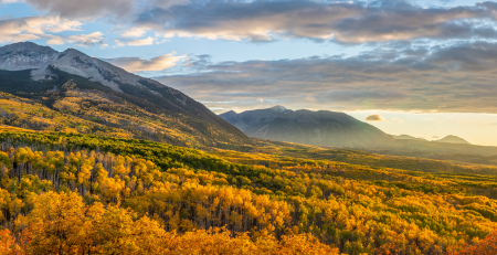 Chauffeured Fall-Color Day Trips