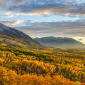 Chauffeured Fall-Color Day Trips
