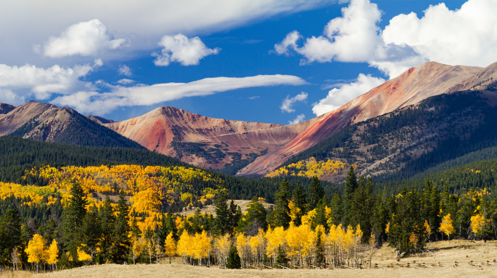 When the Aspens Turn- A Local Driver's Guide to Timing Colorado's Fall Color