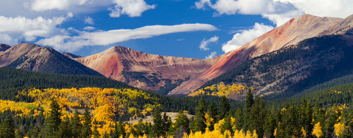 When the Aspens Turn- A Local Driver's Guide to Timing Colorado's Fall Color
