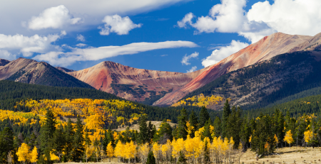 When the Aspens Turn- A Local Driver's Guide to Timing Colorado's Fall Color